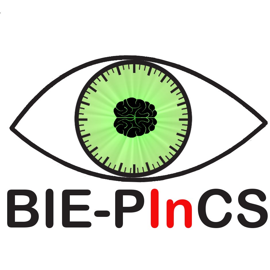 Chiara, Filippo and Tommaso, two Biomedical Engineering B.Sc student and a CS student at Politecnico di Milano working at NECSTLab are glad to present BIE-PInCS