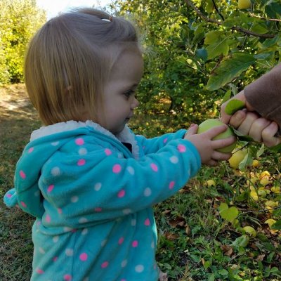 Exploring family adventures around #Asheville and the Appalachian region. #Hiking, #Gardening, and #Family life.  https://t.co/MLi5coRm34