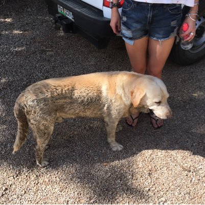 WillRogers120's profile picture. Farmer, Superbru enthuiast