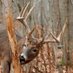 Deer Hunting Probs (@deerhuntprobs) Twitter profile photo Deer Hunting Probs (@deerhuntprobs) Twitter profile photo