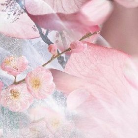 Somo_poem's profile picture. ชอบอ่านหนังสือและเม้ามอยกับเพื่อน ส่องอะไรเรื่อยเปื่อย โดนเฉพาะซีรีส์จีน 
พี่จ้านเป็นแฟนเลา น้องป๋อเป็นยูกของอาม้า แต่ถ้าแฟนกับลูกชอบกันก็โอเคค่ะ 😂😂😂