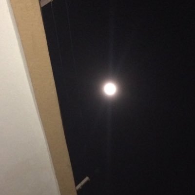 Neslihanpekta1's profile picture. 