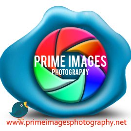 primeimages Profile Picture