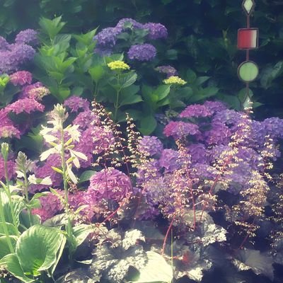 Profile Picture of Schöne Welt (@DanielaLange4) on Twitter