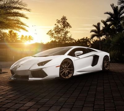 airbiru07's profile picture. Dari awal