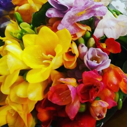 danidanielab's profile picture. 