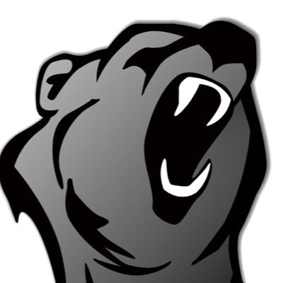 New Bear Republic