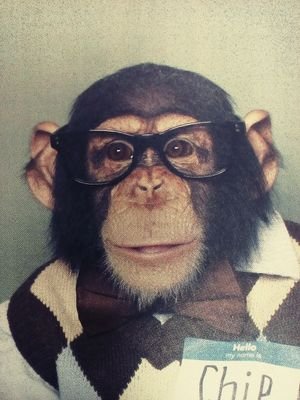 bussan0120's profile picture. 世界平和統一家庭連合(旧統一教会)2018祝福。創価学会2世。 宗教好きの介護士。