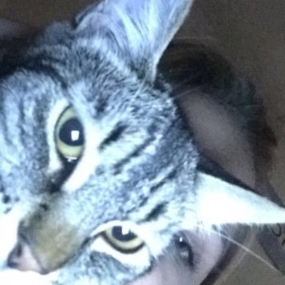 mallowyy's profile picture. eye for an eye