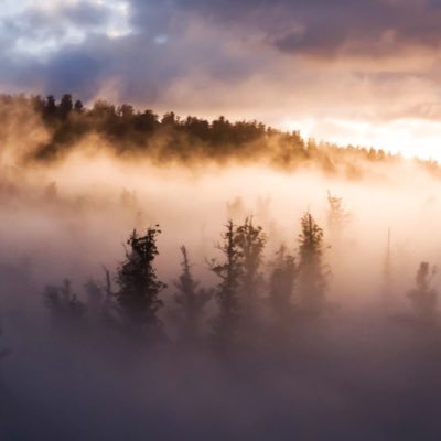 Canopy ecologist Jen Sanger & photographer Steven Pearce. We explore old growth and create outreach content to promote the conservation of our forests.