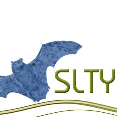 slty_ry's profile picture. Suomen Lepakkotieteellinen yhdistys, lepakoiden tutkimuksen ja suojelun edistäjä, lisätietoa https://t.co/lbKiO67tU9