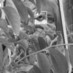 AtomicGal (@decodiva) Twitter profile photo