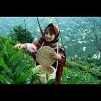 اشواق العزيري (@mbjupvlwchakkym) Twitter profile photo