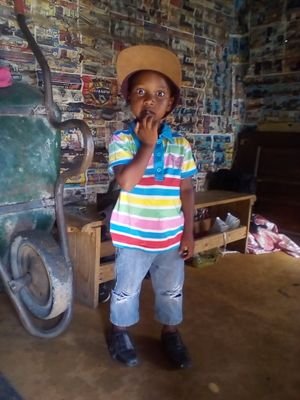 tampi15649083's profile picture. 