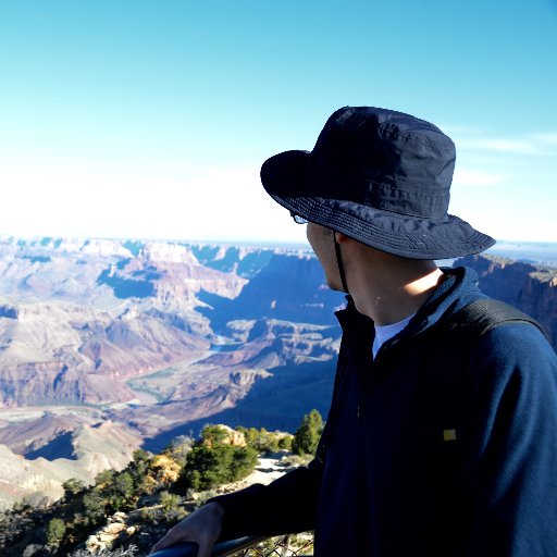 tomeumonserrat's profile picture. Researching the quantum nature of matter at @Cambridge_Uni