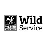 Wild Service(@wild_service) 's Twitter Profile Photo