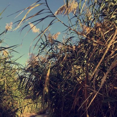 xserve689's profile picture. 