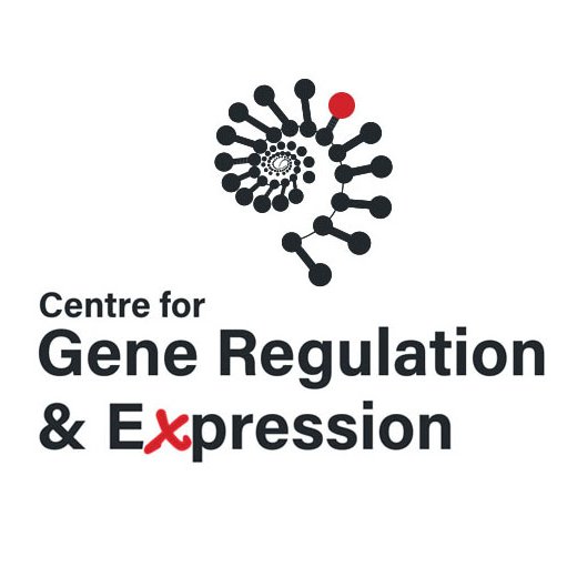 GRE Dundee Profile