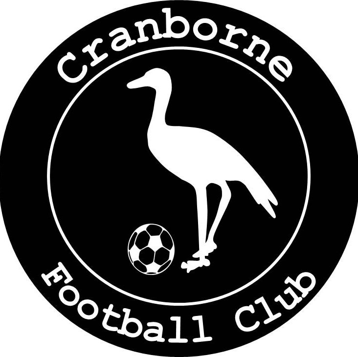 Official Twitter page of Cranborne Football Club. Belonging in the Dorset League. Follow weekly match updates & reporting! #CranesFC