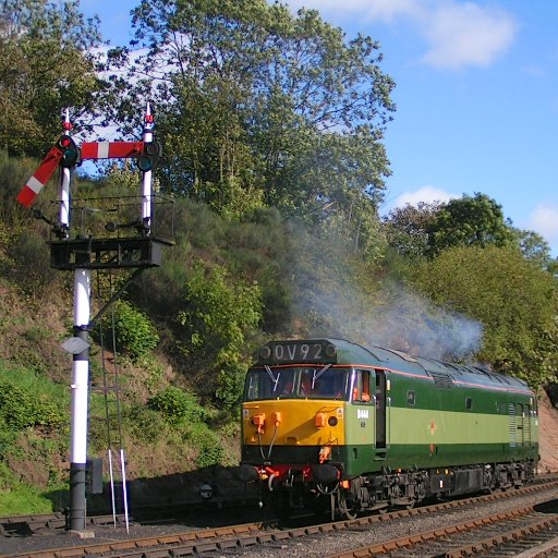 GreenHoover's profile picture. 