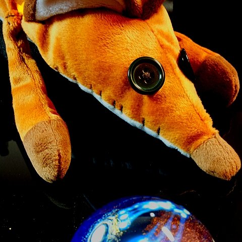 goodenough26's profile picture. 