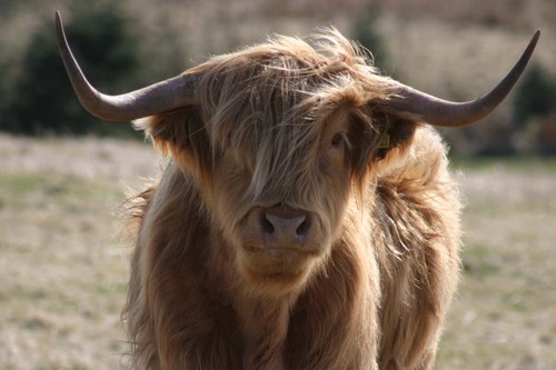 GenerateTrafic's profile picture. Helping to create more Traffic for everyone to make money
Free Twitter Magic at our Website