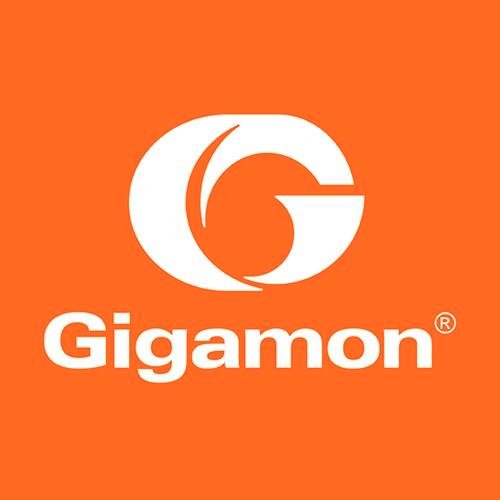 Gigamon provides an intelligent Visibility Fabric™ architecture for enterprises, data centers and service providers around the globe.