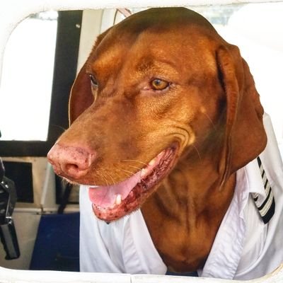 TropicAirFXE's profile picture. Get away to paradise today! Give us a call at 954 267 0707 to book your flight!