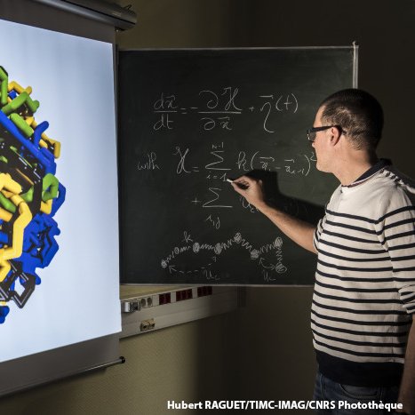 @CNRS Senior Researcher - 
Group Leader at @Lyon_LBMC, @ENSdeLyon. Physical biology of chromatin: modeling the spatio-temporal dynamics of eukaryotic genomes