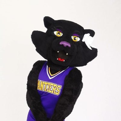 Offical Twitter account of the University of Northern Iowa's female mascot, TK. My big brother @unitcpanther and I are always cheering on the Panthers!