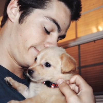 stilespup's profile picture. free follow;@scottspup🐶💘