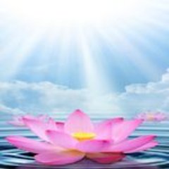 cigun_ru's profile picture. Интересные факты о цигун Фалуньгун (китайская система Фалунь Дафа): отзывы, упражнения, видео, книги, события в России, Китае и во всем мире