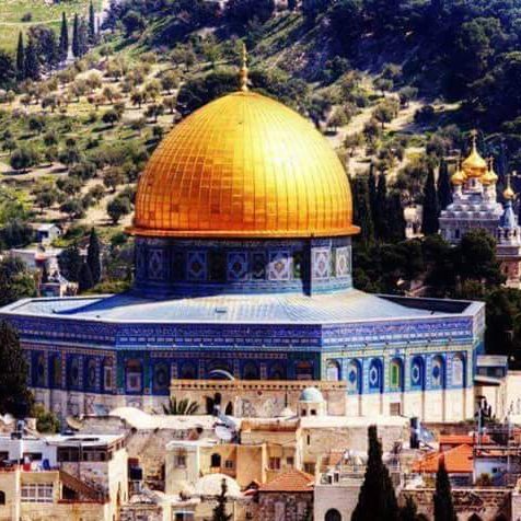 uoxh8e6G3dsy82t's profile picture. الباطل مدحور و إن كثر اتباعه و الحق منصور و إن قل أشياعه