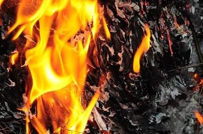 Diabolicless's profile picture. Maybe Evil maybe not. Only I can make it up!
Such a Diabolic Biblically thoughts.