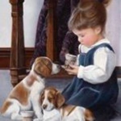 ayseinci's profile picture. 