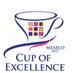 Taza Excelencia MEX (@tazamexico) Twitter profile photo