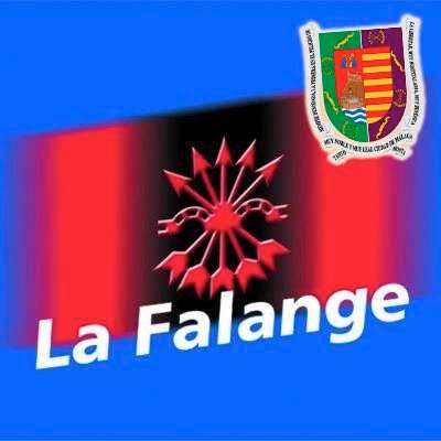 Cuenta oficial de La Falange de Málaga WhatsApp: 644.611.455 Correo electr.: lafalangemalaga@gmail.com