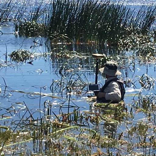 Waterway and Wetland Vagrant, Terrestrial Wanderer