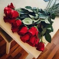 عبدالله (@jew9sazbnv4ooyv) 's Twitter Profile