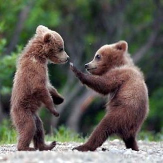 jonathanboyer's profile picture. ¯\_(ツ)_/¯