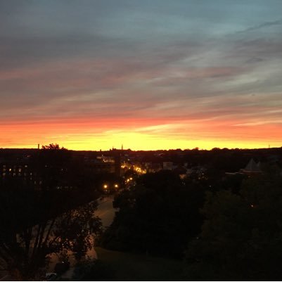 lmiller13's profile picture. 