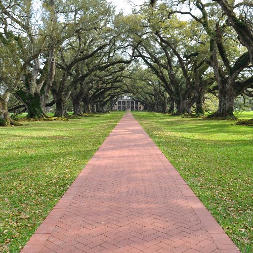 kfili883's profile picture. 