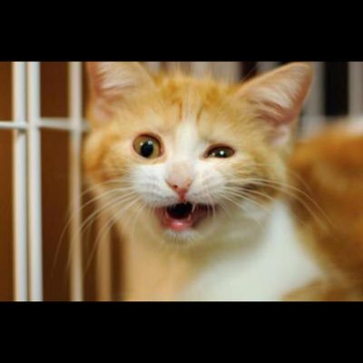 omiYuma1's profile picture. ラジオ番組📻