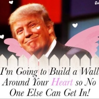 College educated, technically millennial, Trump supporting, deplorable Christian woman. Give me the other sides of a story and let's have a conversation!