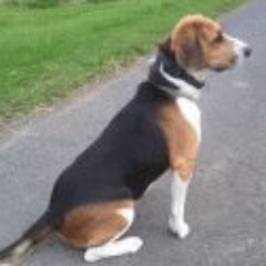 go158's profile picture. 