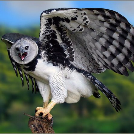 Geografia_Ocean's profile picture. Para ser feliz viva o seu melhor!
Eu já denunciei um corrupto. Faça o mesmo.