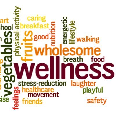 Irish Wellness Management Consultants are Ireland's leading consultancy for Wellness Charters and Wellness Programmes in the Workplace