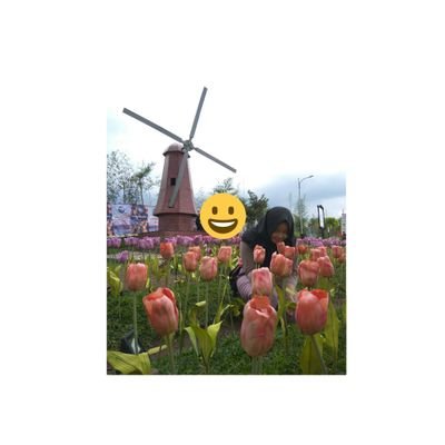 Zahranurfadlil's profile picture. Hiburan Sekolah & Universitas Sekolah & Universitas Hiburan