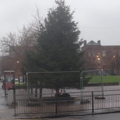 partickxmastree's profile picture. The Partick Xmas Tree 🌲 🎄 aka Patrick - cousin of the Shawlands Xmas Tree previously incarcerated by Glasgow City Council.
