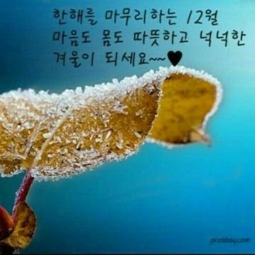 트위새로다시만들었어용팔로해주시면감사하겠습니다죄송  ㅠㅠ